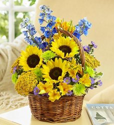 The Summer Basket The Summer Basket