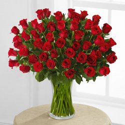 Fifty Red Roses of Romance Bouquet Fifty Red Roses of Romance Bouquet