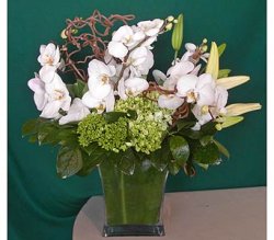 Alluring Delight Bouquet Alluring Delight Bouquet