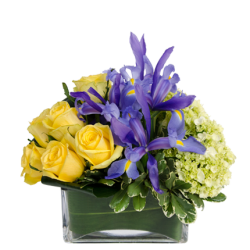 Spring Connection Bouquet Spring Connection Bouquet