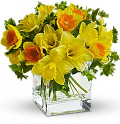 Daffodil Dreams Bouquet Daffodil Dreams Bouquet